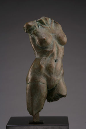 Entitled GEMSS M-128, this is a photo of a fragment of a one-quarter life size bronze sculpture. Depicted is the torso of a nude female figure missing both legs at the thigh, both arms and head. By sculptor Blake Ward.
