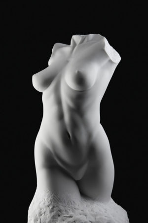 Entitled Danza, this is a photograph depicting a one-quarter life-size marble sculpture of a standing female figure emerging from the stone base, created by sculptor Blake Ward